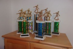 household-bowling-trophies