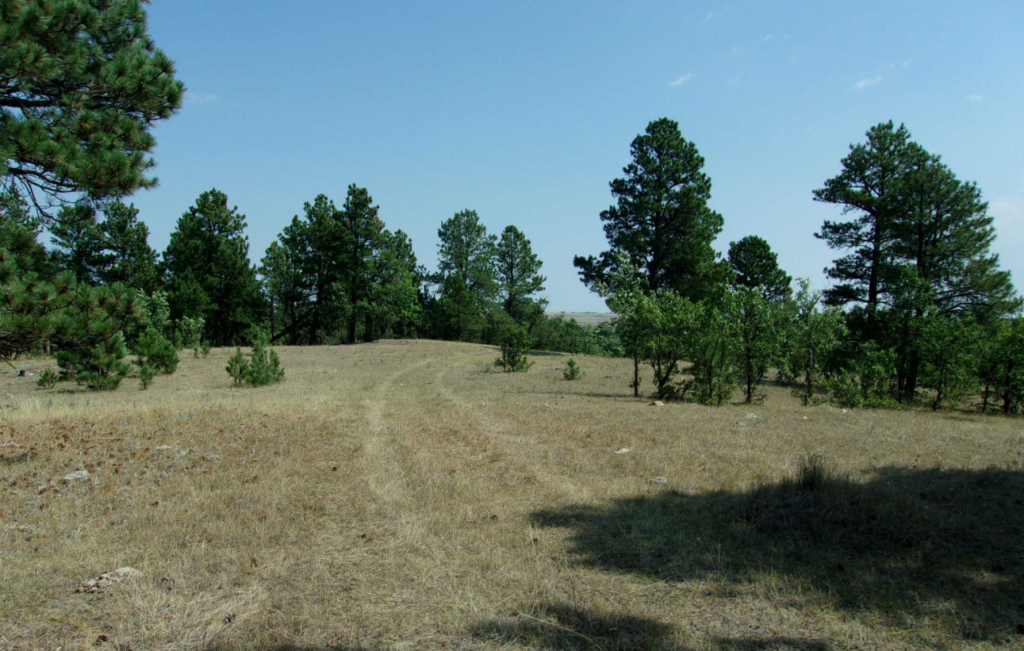 Residential and Commercial Real Estate Listings Casteel Auction